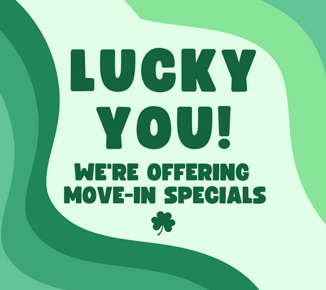 Request More Info about our Offer