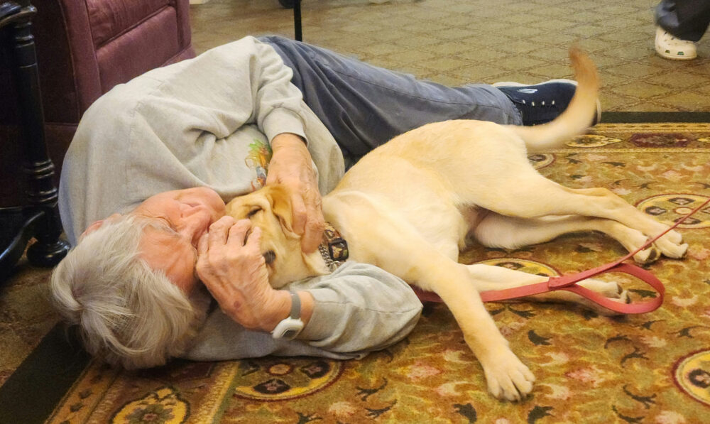 Seniors and Pet