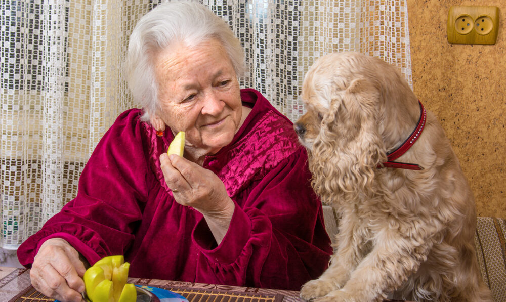 Dog with woman eating apple