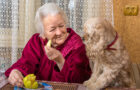 Dog with woman eating apple