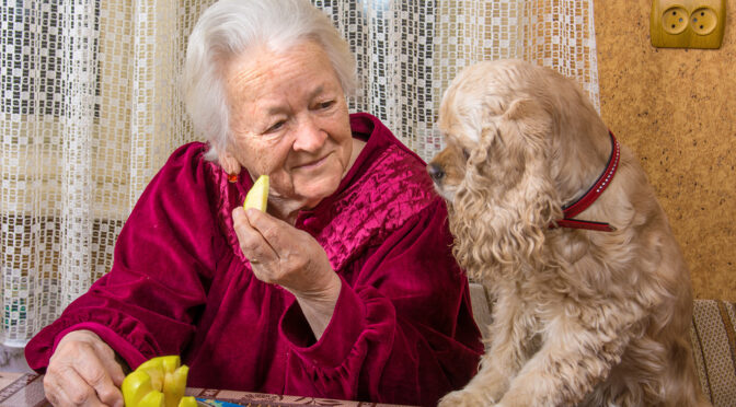 Dog with woman eating apple